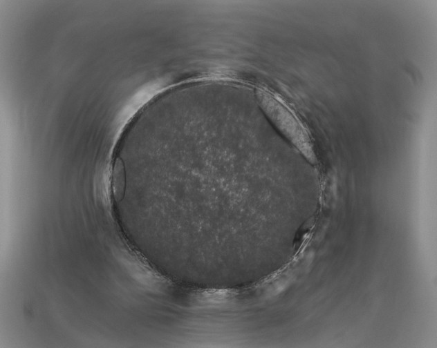 X0000113270152200909241550