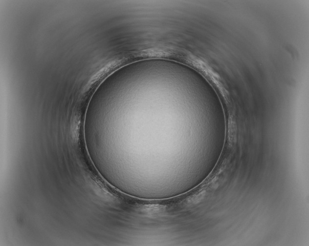 X0000113270153200909241550