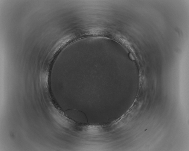 X0000113270154200909241550