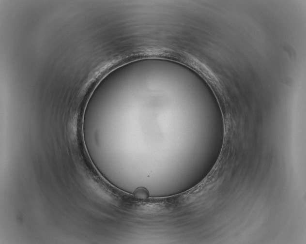 X0000113270155200909241550