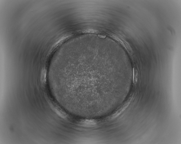 X0000113270157200909241550