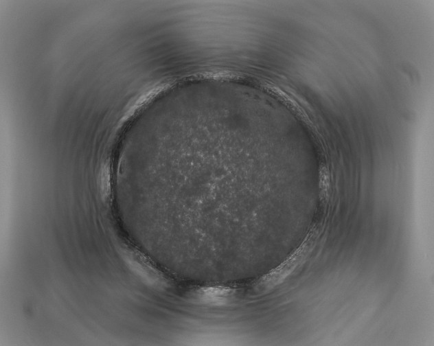 X0000113270158200909241550