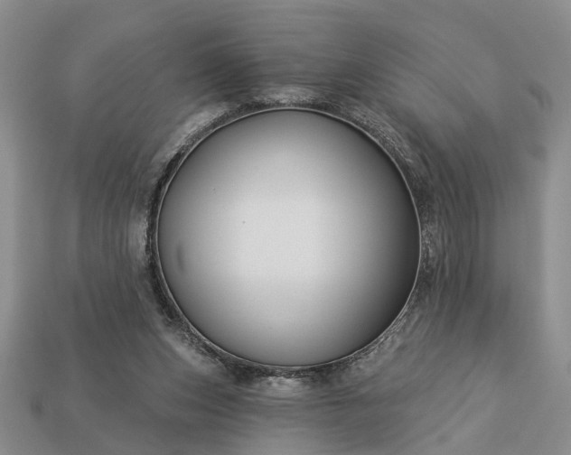 X0000113270159200909241550