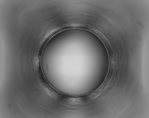 X0000113270160200909241550