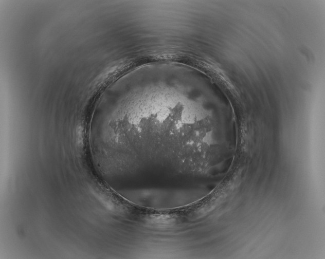 X0000113270161200909241550