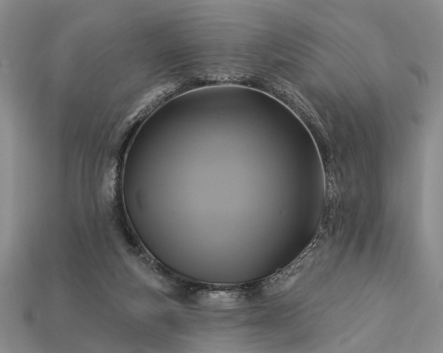 X0000113270163200909241550