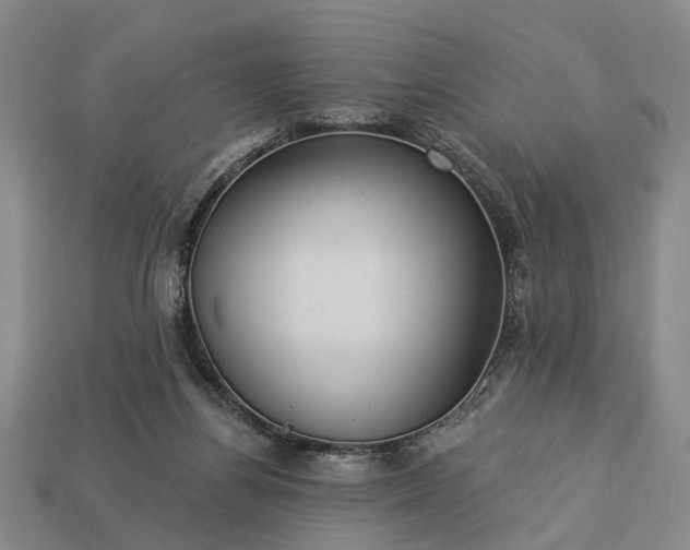 X0000113270164200909241550