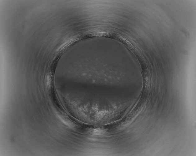 X0000113270165200909241550