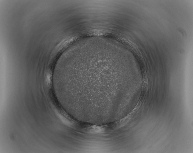 X0000113270166200909241550