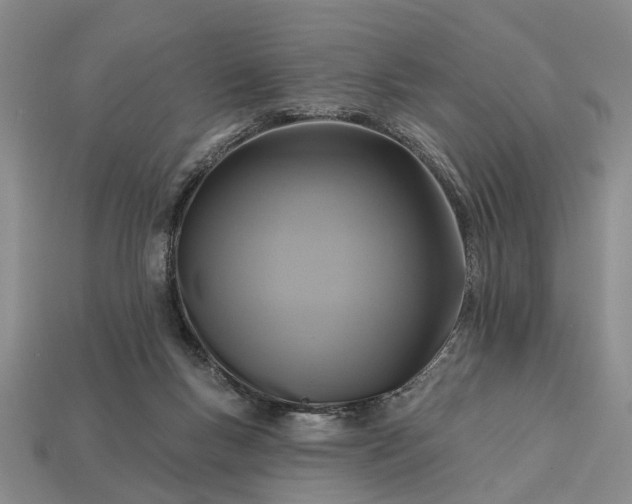 X0000113270167200909241550