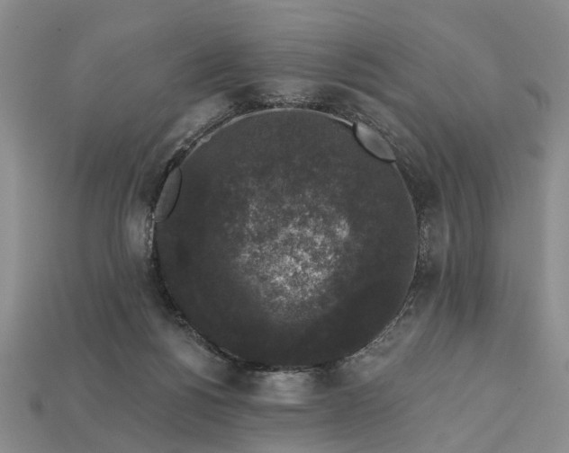 X0000113270168200909241550