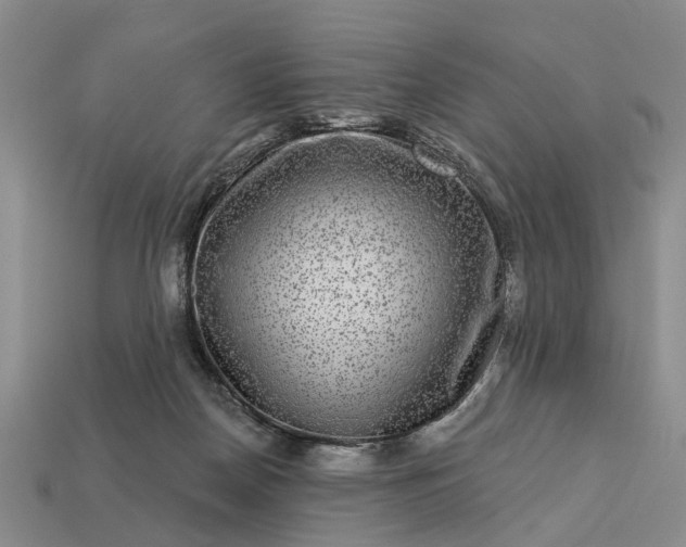 X0000113270170200909241550