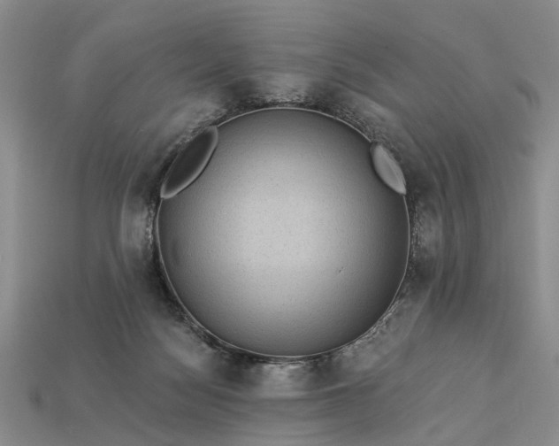 X0000113270172200909241550