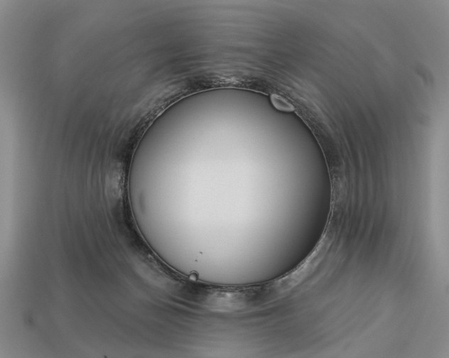 X0000113270174200909241550