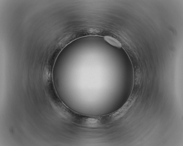 X0000113270176200909241550