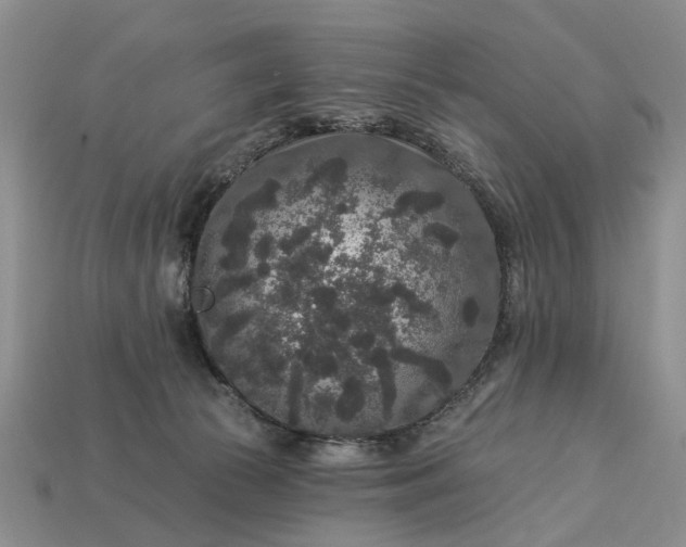 X0000113270177200909241550