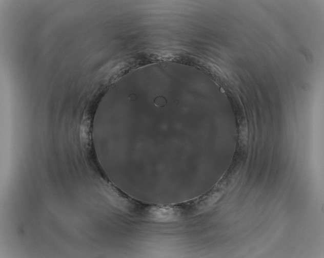 X0000113270181200909241550