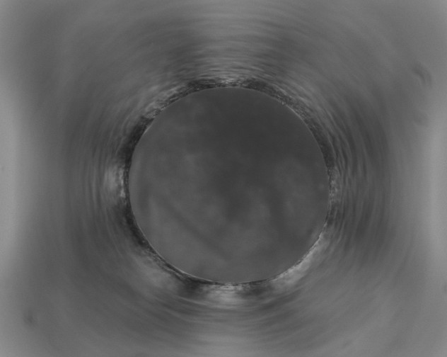 X0000113270182200909241550