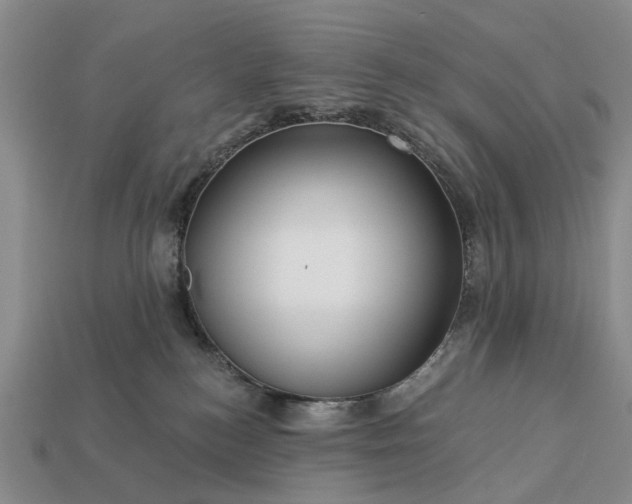 X0000113270184200909241550