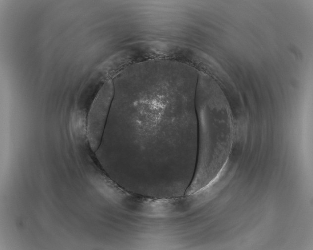 X0000113270186200909241550