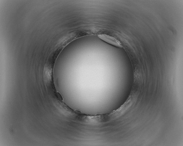 X0000113270188200909241550