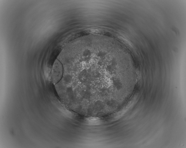 X0000113270189200909241550