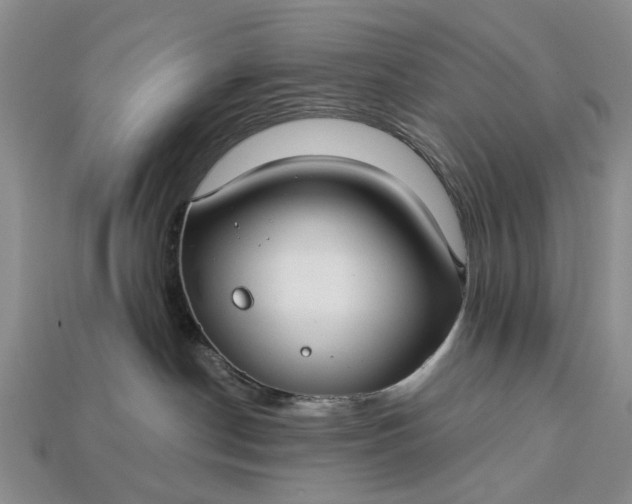 X0000113270190200909241550