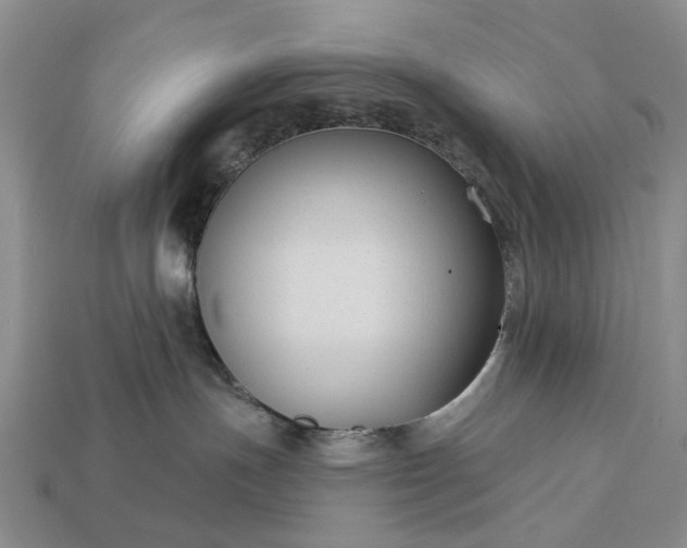 X0000113270191200909241550