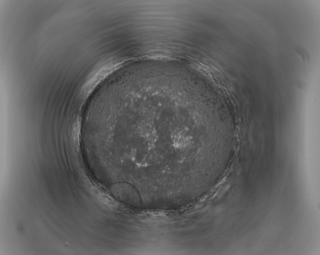 X0000113270194200909241550