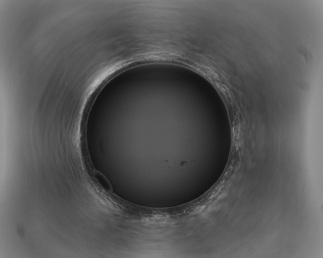 X0000113270196200909241550