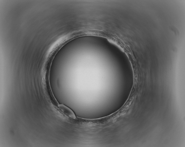 X0000113270197200909241550