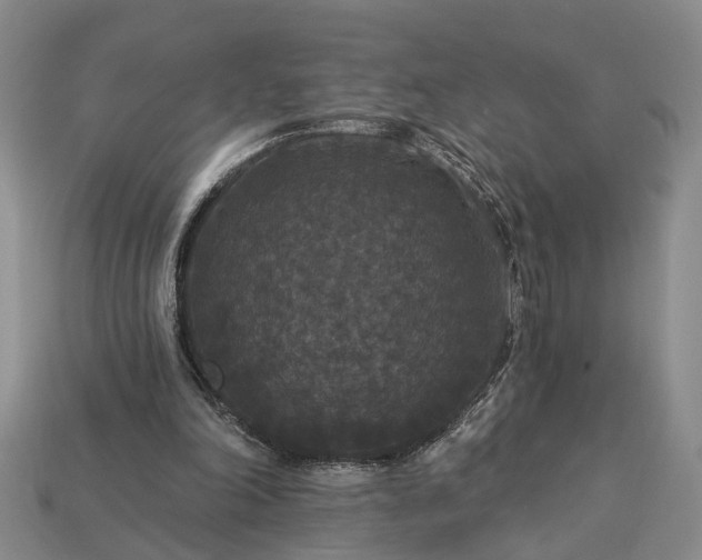 X0000113270198200909241550