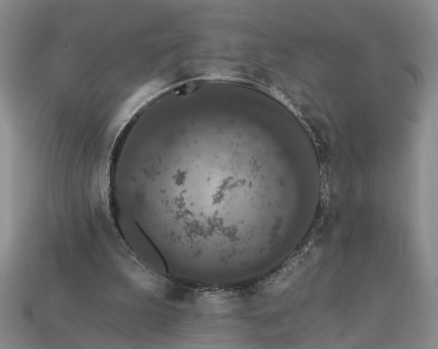 X0000113270199200909241550