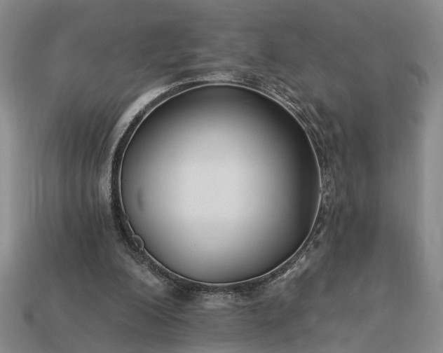 X0000113270200200909241550