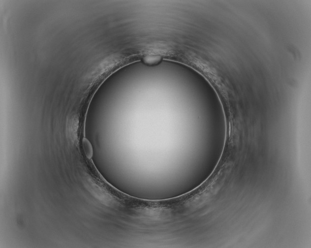 X0000113270201200909241550