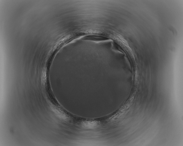 X0000113270202200909241550