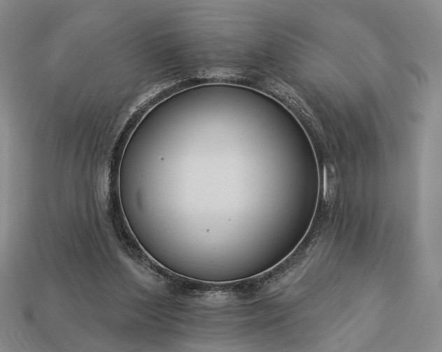 X0000113270204200909241550