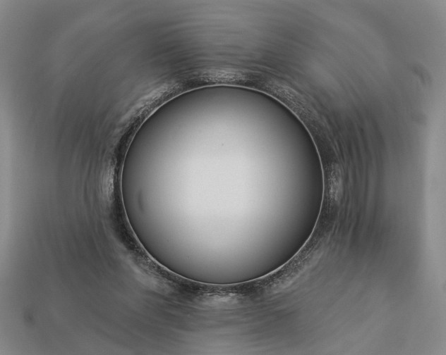 X0000113270206200909241550