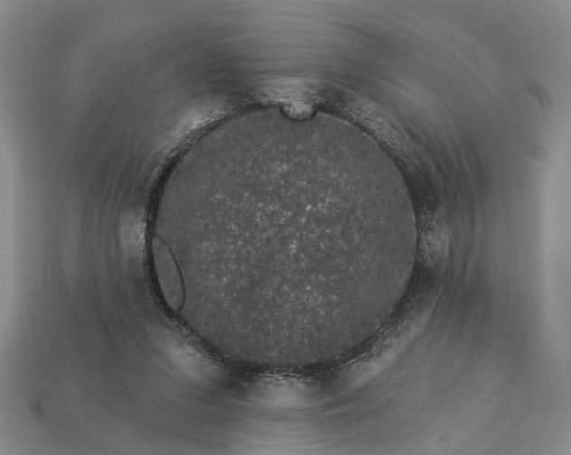 X0000113270207200909241550