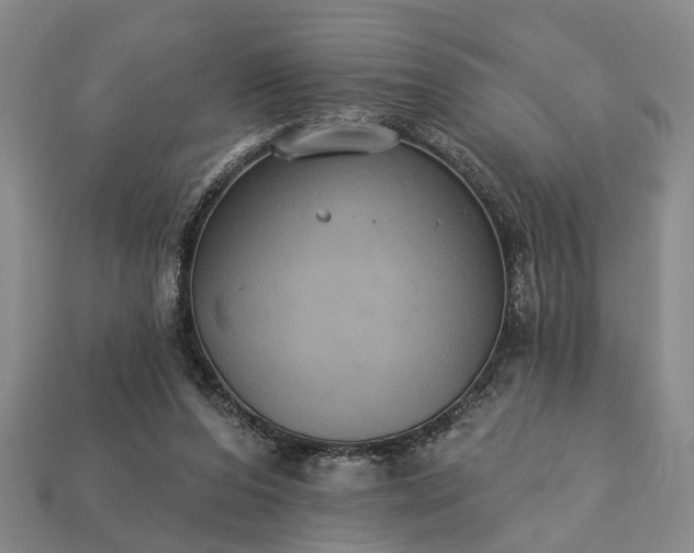 X0000113270208200909241550