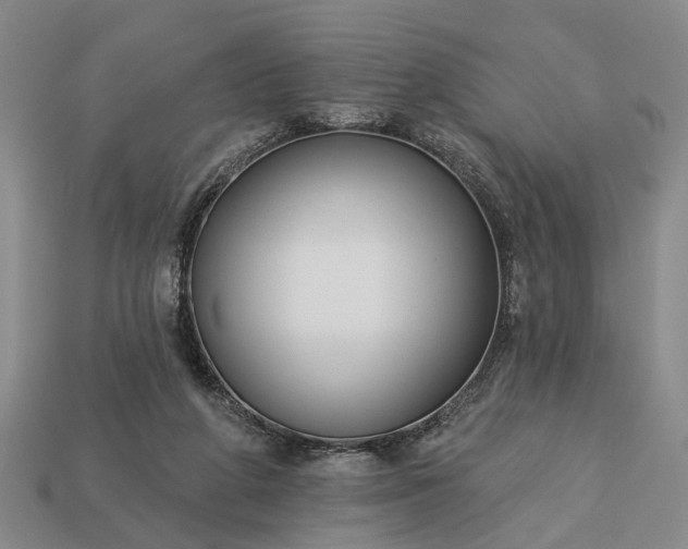 X0000113270210200909241550