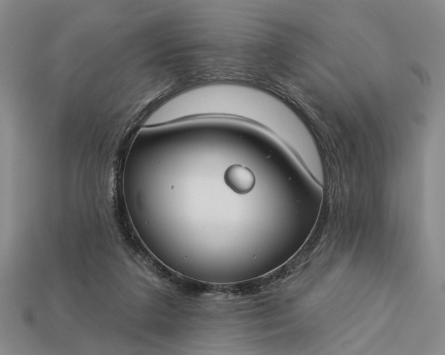 X0000113270211200909241550