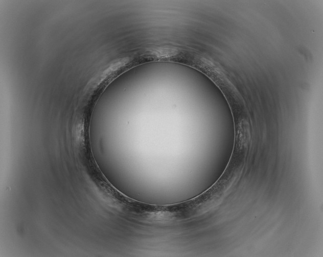 X0000113270212200909241550