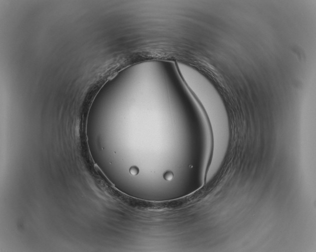 X0000113270213200909241550