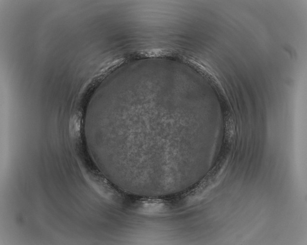 X0000113270214200909241550