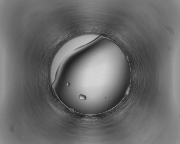 X0000113270215200909241550