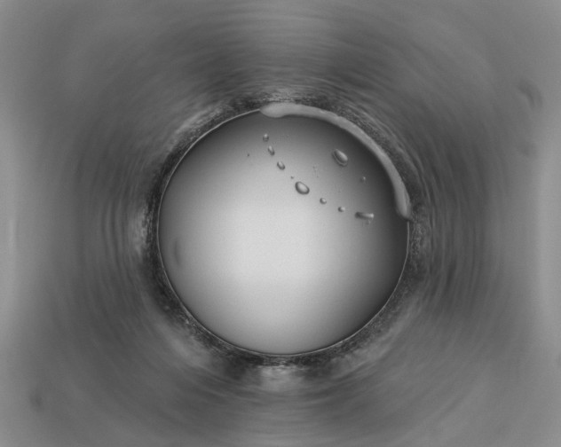 X0000113270216200909241550