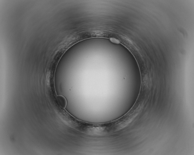 X0000113270217200909241550