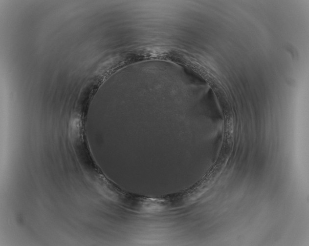 X0000113270222200909241549