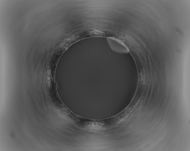 X0000113270223200909241549